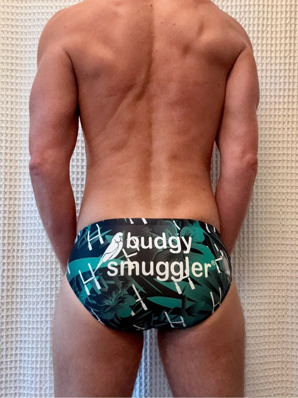 Budgy Smuggler Looseheadz rugby swim brief | 30 | black & green